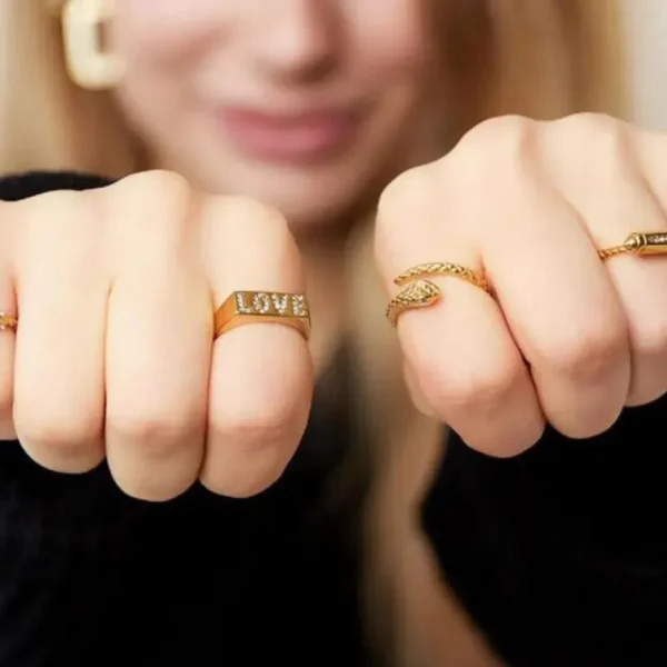 FRENCH RIVIERA | Lara Snake Ring -käärmesormus kirurginterästä