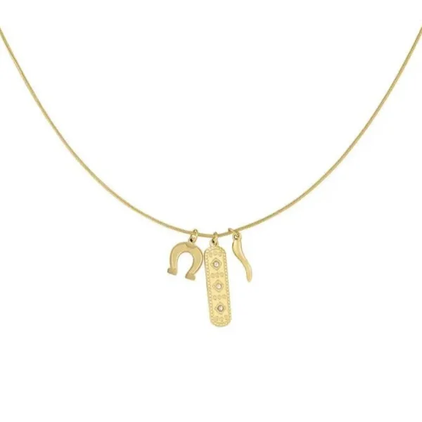 FRENCH RIVIERA | Lucky Charm -kirurginteräskaulakoru (kulta)