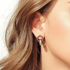 FRENCH RIVIERA | Roman Numeral Earrings -kirurginteräksiset korvakorut