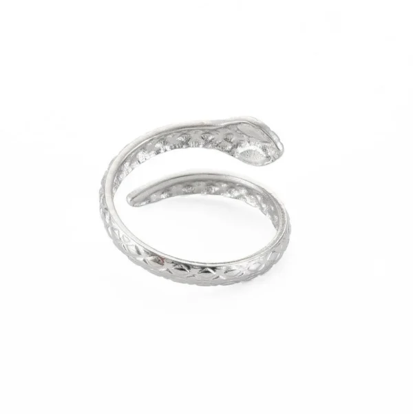 FRENCH RIVIERA | Simple Snake Ring -käärmesormus kirurginterästä