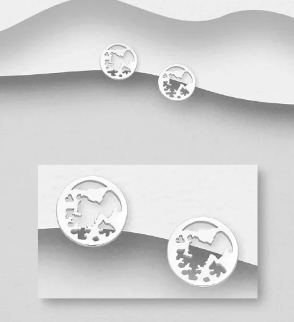 Hopeiset korvanapit, World's Map -maailmankarttakorvakorut