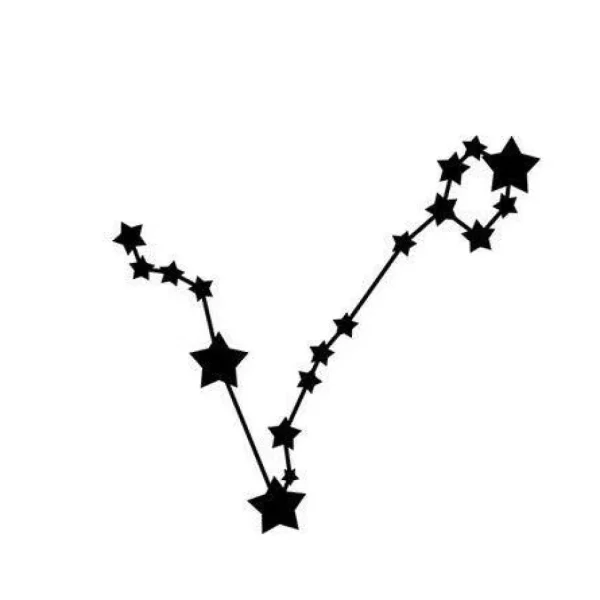 Kirurginteräskaulakoru, FRENCH RIVIERA | Astrologie -horoskooppikoru