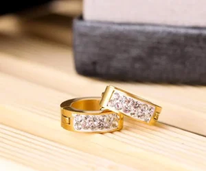 Kirurginteräsrenkaat, Classic Crystal Steel Hoop Earrings