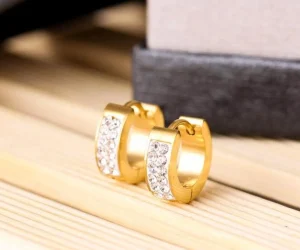 Kirurginteräsrenkaat, Classic Crystal Steel Hoop Earrings