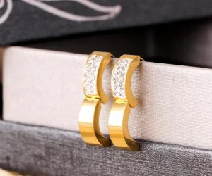 Kirurginteräsrenkaat, Classic Crystal Steel Hoop Earrings