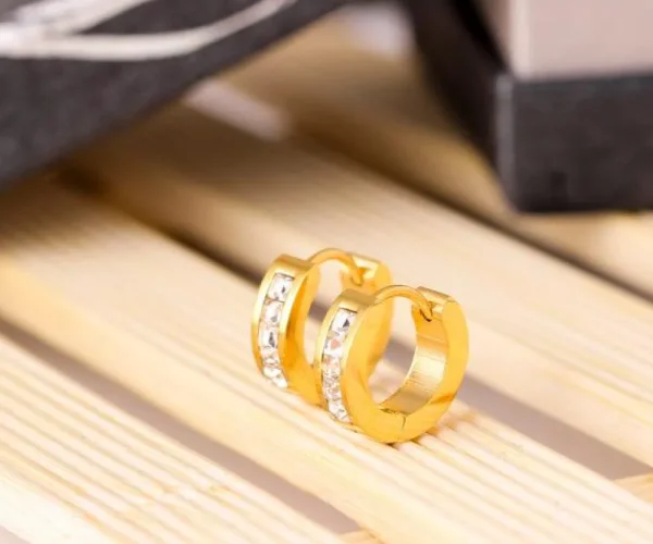 Kirurginteräsrenkaat, Modern Crystal Steel Hoop Earrings