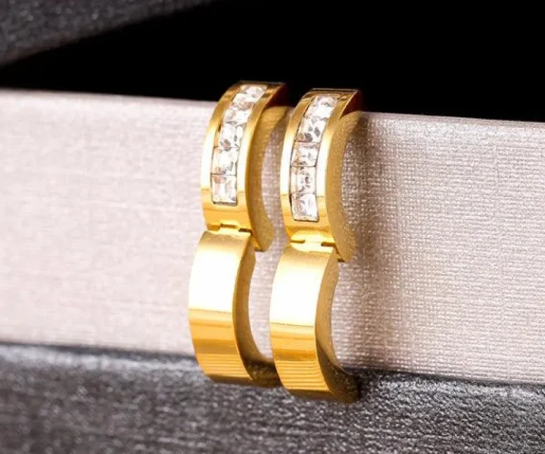 Kirurginteräsrenkaat, Modern Crystal Steel Hoop Earrings