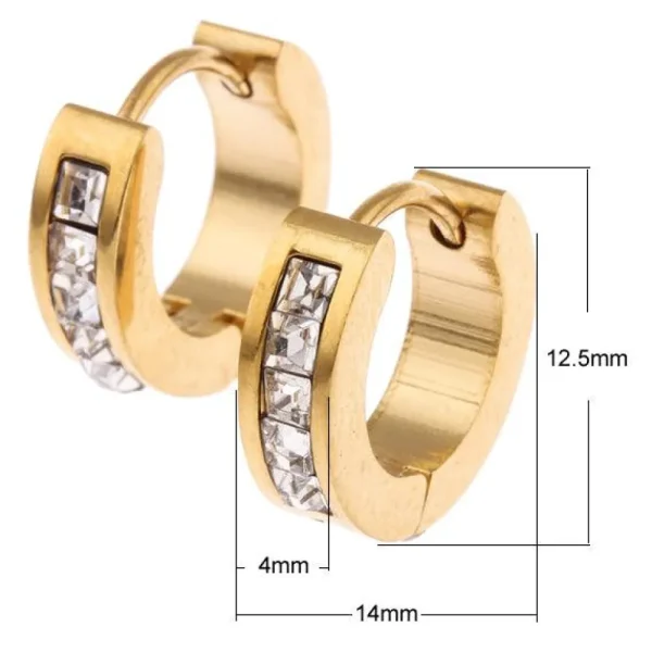 Kirurginteräsrenkaat, Modern Crystal Steel Hoop Earrings