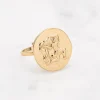 Kirurginterässormus, Astro Collection-horoskooppikoru