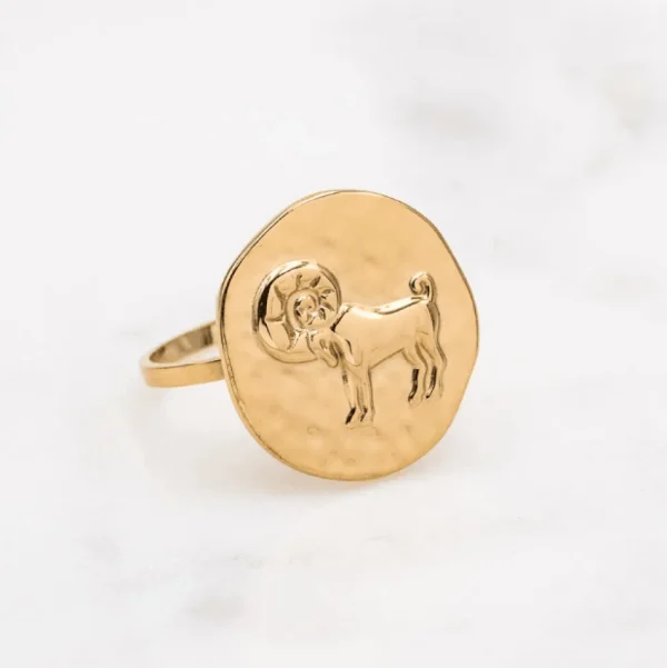Kirurginterässormus, Astro Collection-horoskooppikoru