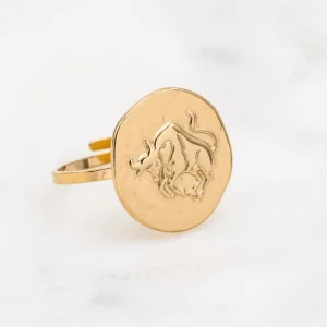 Kirurginterässormus, Astro Collection-horoskooppikoru