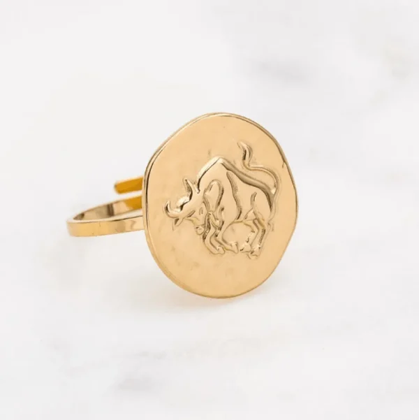 Kirurginterässormus, Astro Collection-horoskooppikoru