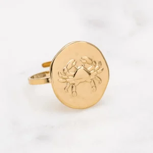 Kirurginterässormus, Astro Collection-horoskooppikoru