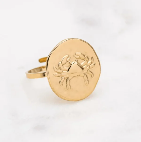 Kirurginterässormus, Astro Collection-horoskooppikoru