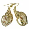 Korvakorut, PAPARAZZI | Gold and Brown Seashell Earrings