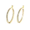 Korvarenkaat, FRENCH RIVIERA | Modern Gold Hoops with Cubic Zirconia