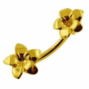 Kullattu napakoru, Frangipani -plumeriankukka napakoru