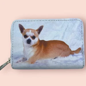 Lasten lompakko, Chihuahua