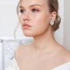 LEMPI-korvanapit, Veera (hopea glitter, L)