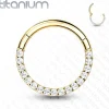Lävistysrengas, Front Facing Titanium Hinged Hoop Ring with CZ in Gold