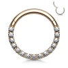 Lävistysrengas, Front Facing Titanium Hinged Hoop with CZ in Rosegold