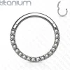 Lävistysrengas, Front Facing Titanium Hinged Hoop Rings with CZ