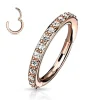 Lävistysrengas, High Quality Surgical Steel Hinged Rings with CZ/RGD