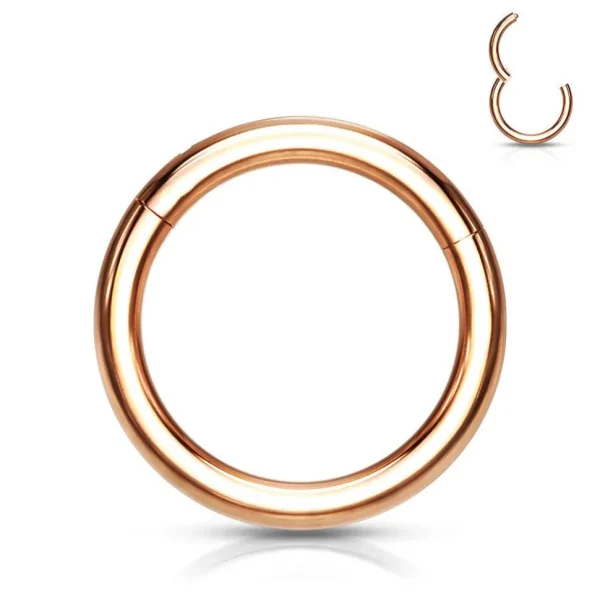 Lävistysrengas 1,2mm, Implant Grade Titanium Segment Ring in Rosegold