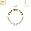 Lävistysrengas Ø10mm, 14K Gold Front Facing Hinged Ring -kultarengas