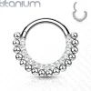 Lävistysrengas, Titanium Hoop Rings with Lined CZ and Balls