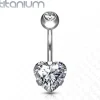 Napakoru, Implant Grade Titanium Prong Set Heart CZ in Clear