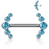 Nännikoru, Titanium Barbells with 5 Bezel Set CZ in Turqoise