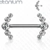 Nännikoru, Titanium Barbells with 5 Bezel Set CZ in Clear