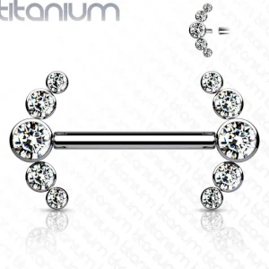 Nännikoru, Titanium Barbells with 5 Bezel Set CZ in Clear