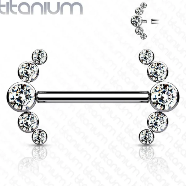 Nännikoru, Titanium Barbells with 5 Bezel Set CZ in Clear
