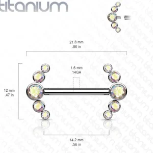Nännikoru, Titanium Barbells with 5 Bezel Set CZ in Clear AB