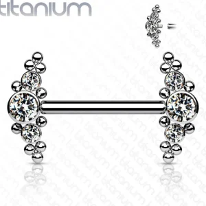 Nännikoru, Titanium Nipple Barbells with Bezel Set CZ