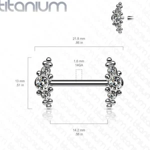Nännikoru, Titanium Nipple Barbells with Bezel Set CZ Multi