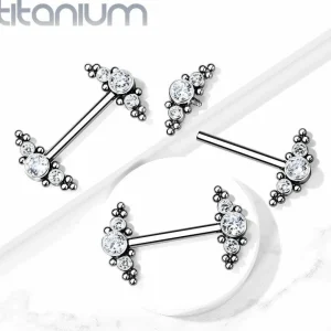 Nännikoru, Titanium Nipple Barbells with Bezel Set CZ