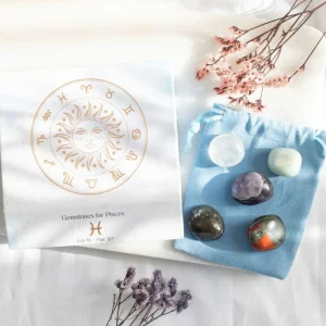 Pisces Crystal Tumblestone Set -kalojen luonnonkivi lahjapakkaus