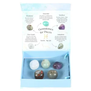 Pisces Crystal Tumblestone Set -kalojen luonnonkivi lahjapakkaus