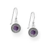 PREMIUM COLLECTION | Emelie -hopeakorvakorut ametistilla