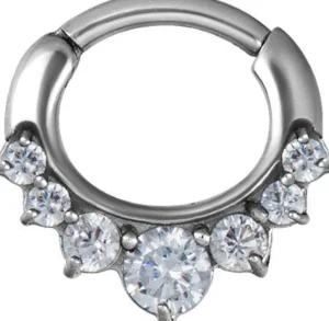 PREMIUM COLLECTION | Implant Grade Steel Zirconia clicker
