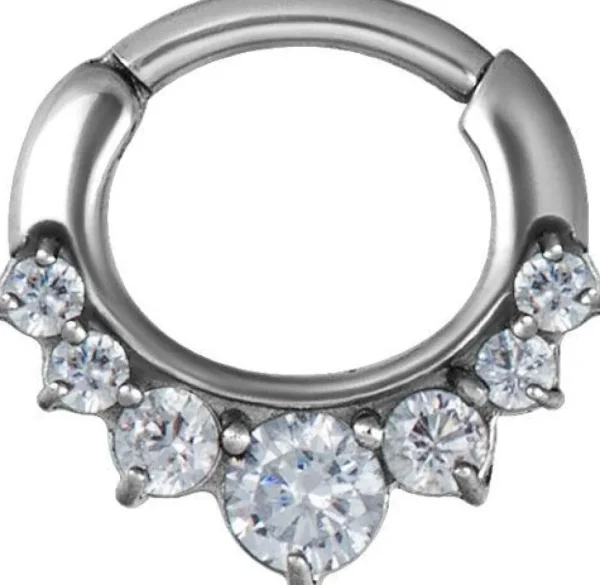 PREMIUM COLLECTION | Implant Grade Steel Zirconia clicker
