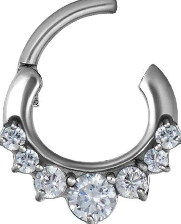 PREMIUM COLLECTION | Implant Grade Steel Zirconia clicker