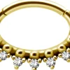 PREMIUM COLLECTION | Kivellinen kulta septum & daith clicker