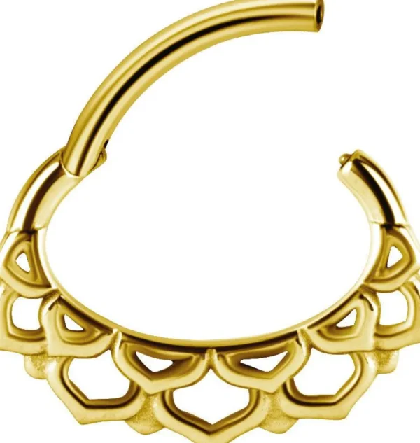 PREMIUM COLLECTION | Pitsi kulta septum & daith clicker