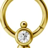 PREMIUM COLLECTION | Siro smiley koriste-clicker iensuojalla (kulta)