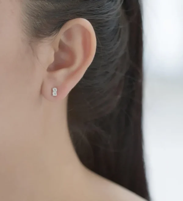 PREMIUM COLLECTION | Vesta -hopeiset kirkkaat nappikorvakorut