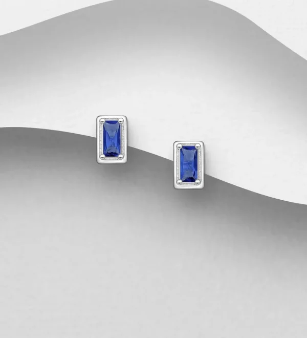 PREMIUM COLLECTION | Wilma -hopeiset siniset nappikorvakorut